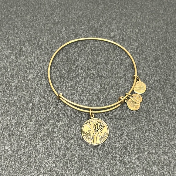 Your Pick – Alex & Ani Gold Charm Bracelets | Boho Spiritual Jewelry - Picture 3 of 12